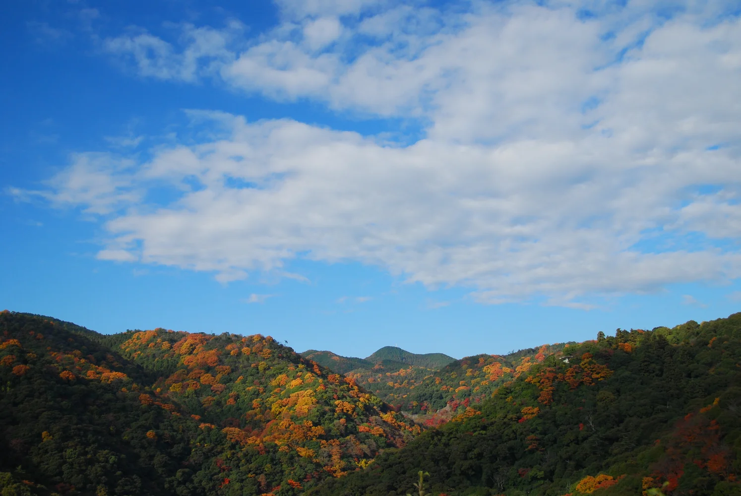 Scenic Hiking Tour with Footbath, and Refreshments or Kaiseki Lunch in Minoh, Osaka