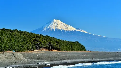 Shizuoka: Shimizu Mt Fuji View 6 hours Private Tour with Government-Licensed Guide