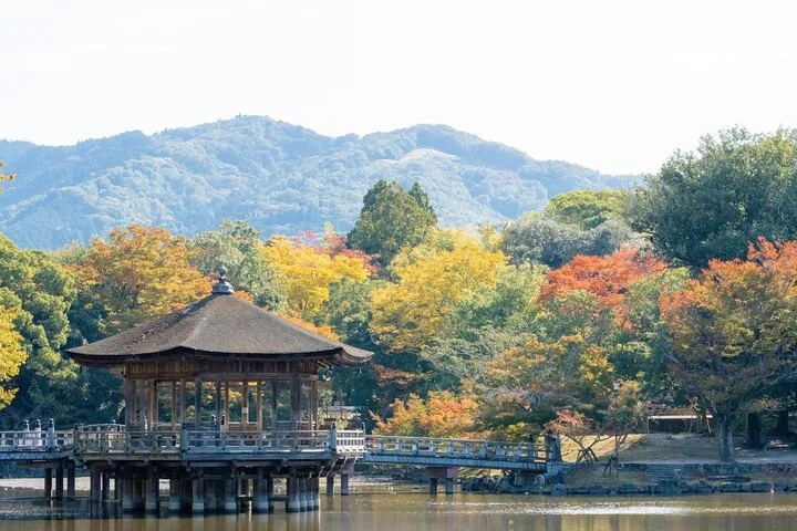 Private Nara Comprehensive Tour with a Local Guide (6 Hours)