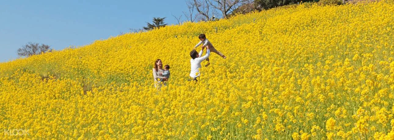 千葉 マザー牧場 Eチケット＜お食事券付きや光の花園入園券など5つの