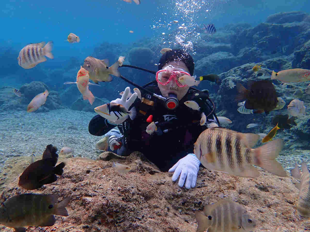 沖縄 Banana Reef ビーチから行く青の洞窟シュノーケリング＆体験ダイビング ＜無料レンタル付き＞