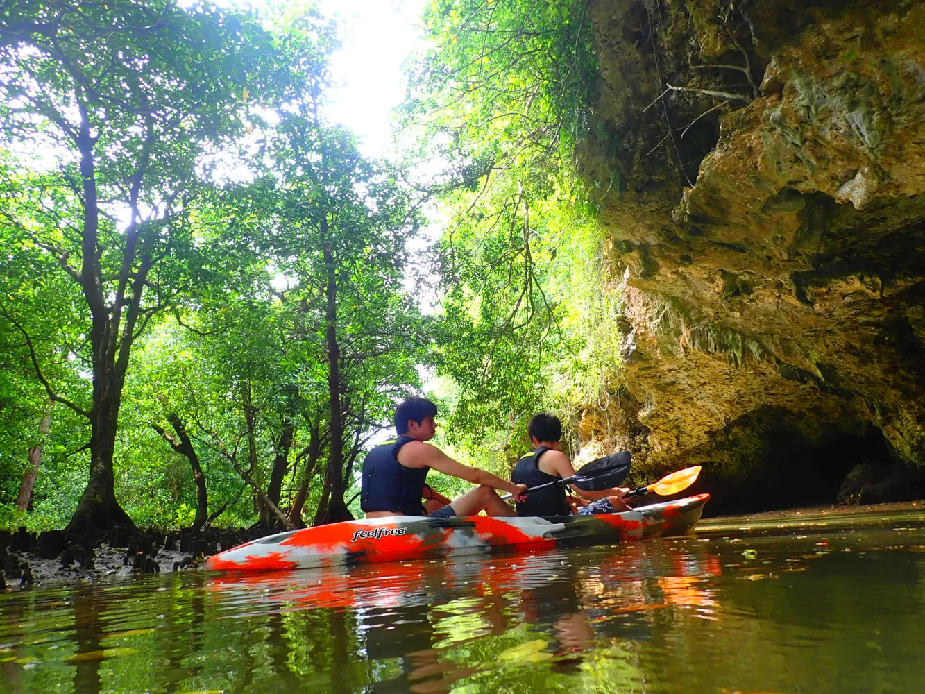 Ishigaki Blue Cave Snorkeling & Mangrove SUP (or Canoeing)