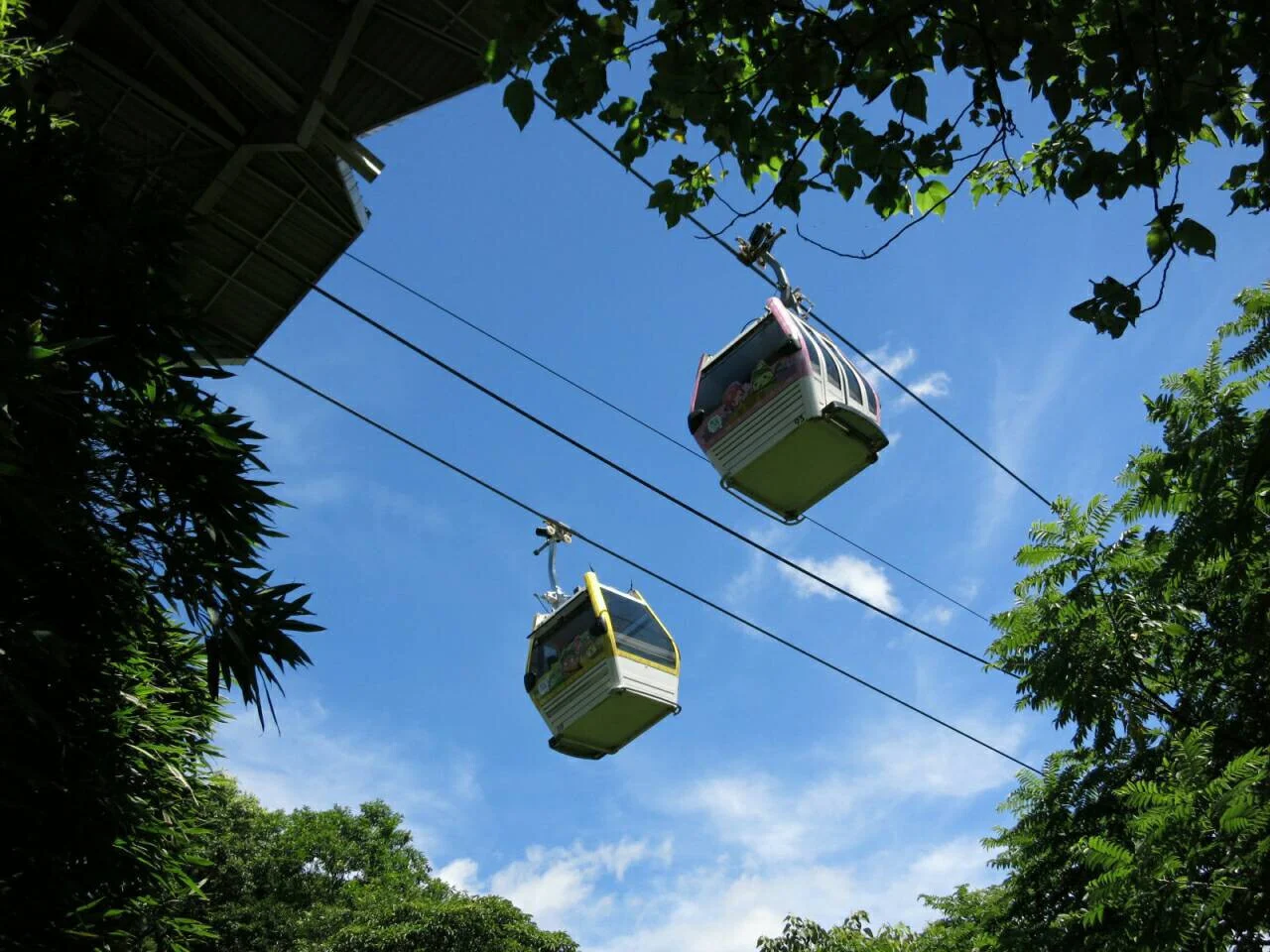 台湾 台北動物園とシャトル列車（片道） + 猫空ロープウェイ1日パス Eチケット 予約