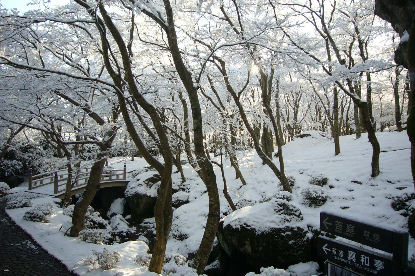 神奈川 箱根美術館入場 Eチケット（引換券）予約