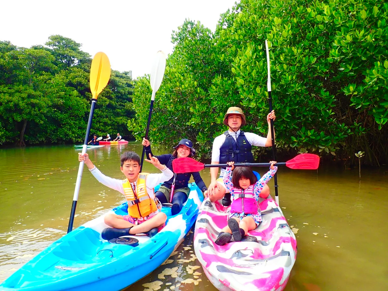 Miyara River Mangrove SUP or Canoeing at Ishigaki, Okinawa