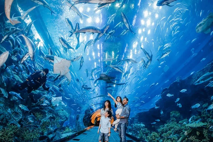 ベトナム ハノイ ヴィンケ&ヴィンパール水族館 入場Eチケット予約＜水族館のみ／ヴィンケ＋水族館＞