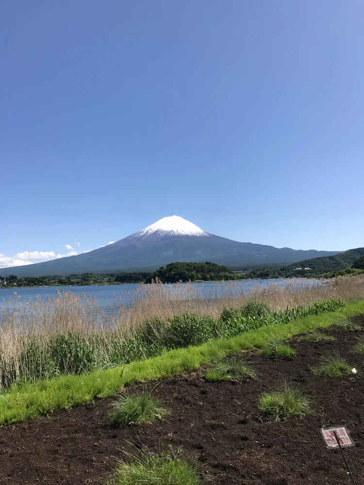 Mt. Fuji & Arakura Sengen Shrine Bus Tour from Tokyo (English Guide & Lunch)