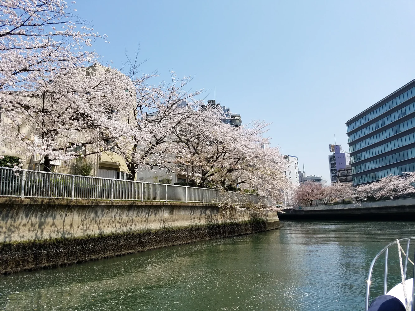 東京 隅田川 貸切お花見クルージング 予約＜3月20日から4月14日までの期間限定＞