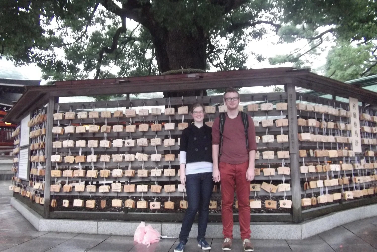 Guided Tour of Shrines and Temples in Tokyo