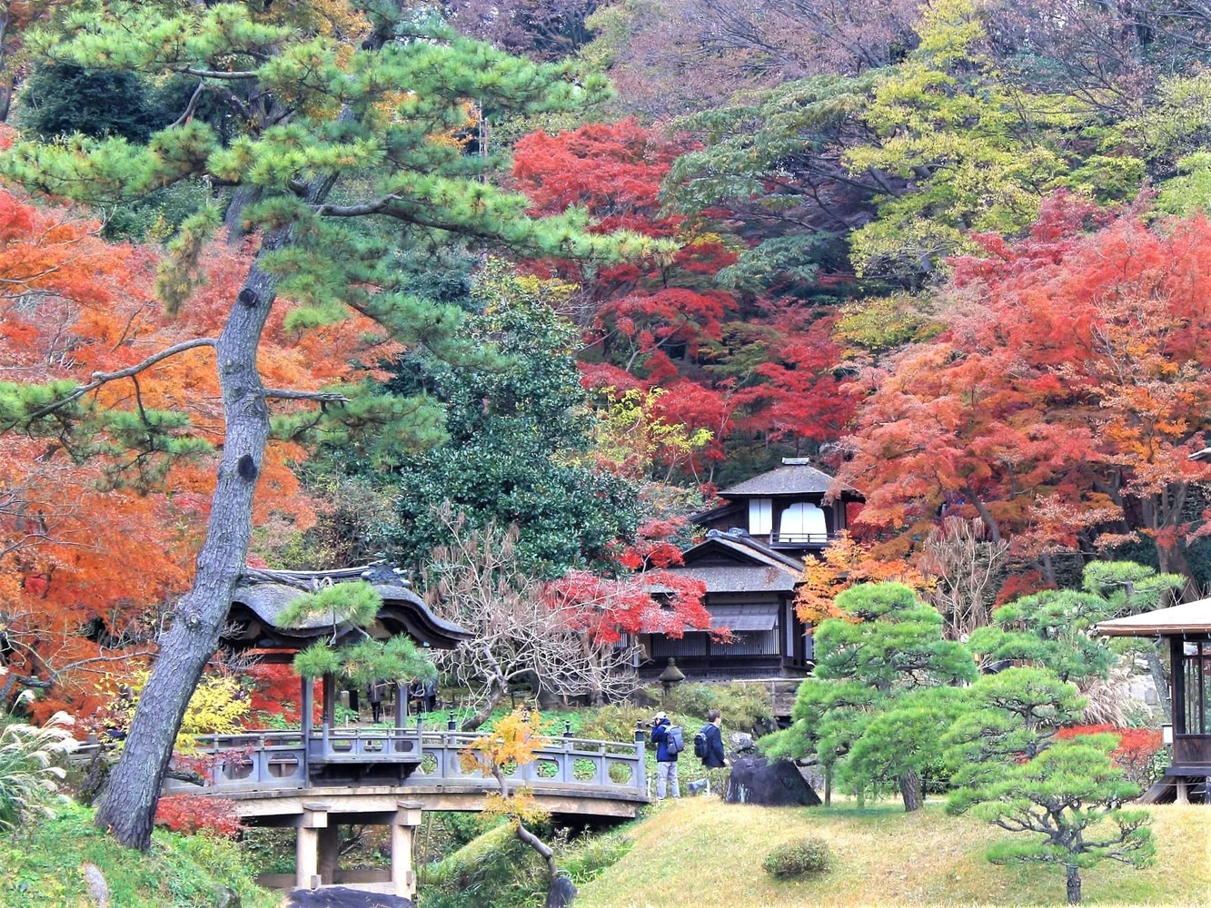 神奈川 横浜 三溪園 入園Eチケット 予約