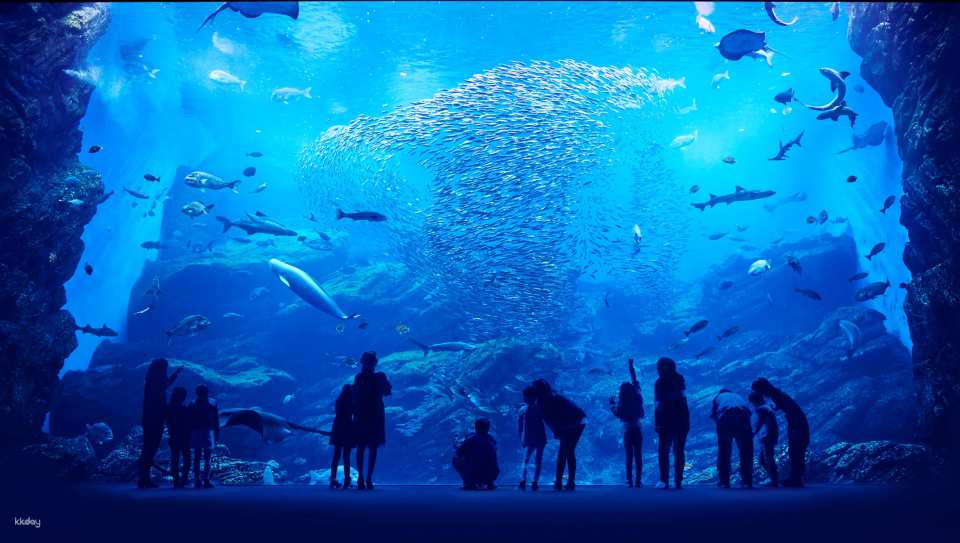 宮城 仙台うみの杜水族館 入館Eチケット 予約