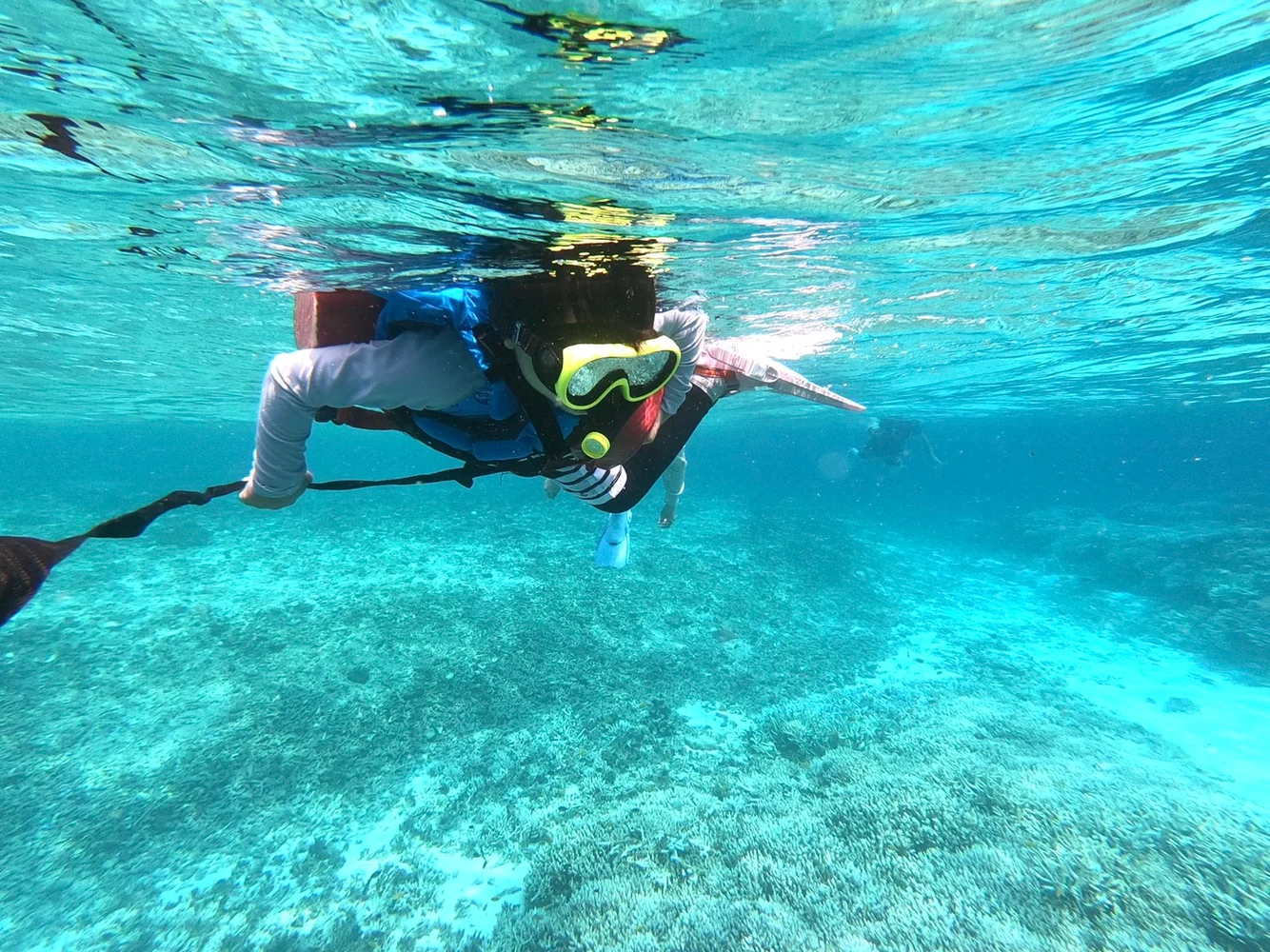 【西表島／半日】サンゴの欠片でできた「奇跡の島」でウミガメと泳ごう！バラス島ボートシュノーケリング【写真データ無料】