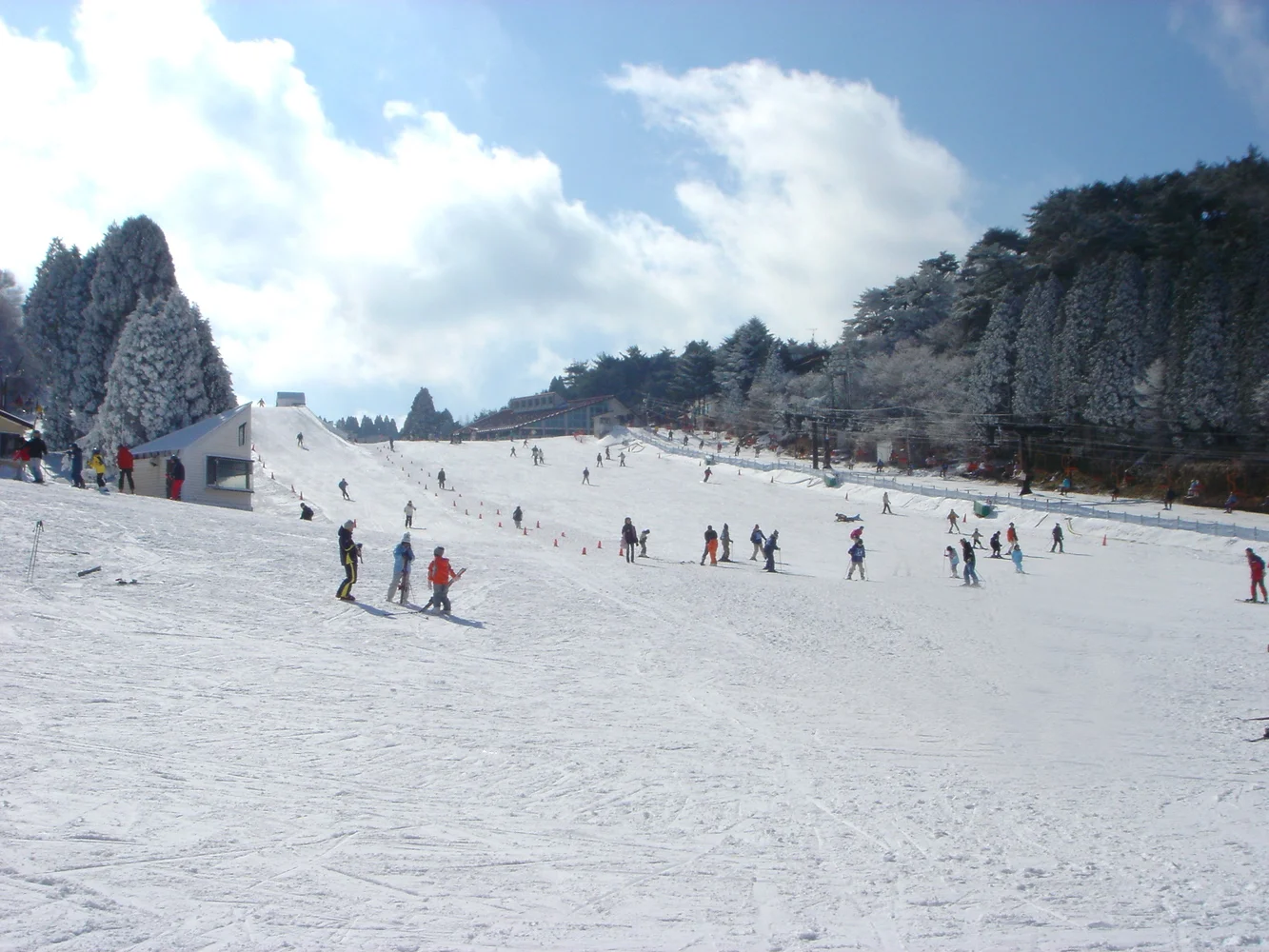 Mt. Rokko Snow Park Semi-Private Day Tour From Osaka (Lesson & Equipment Rental Options)