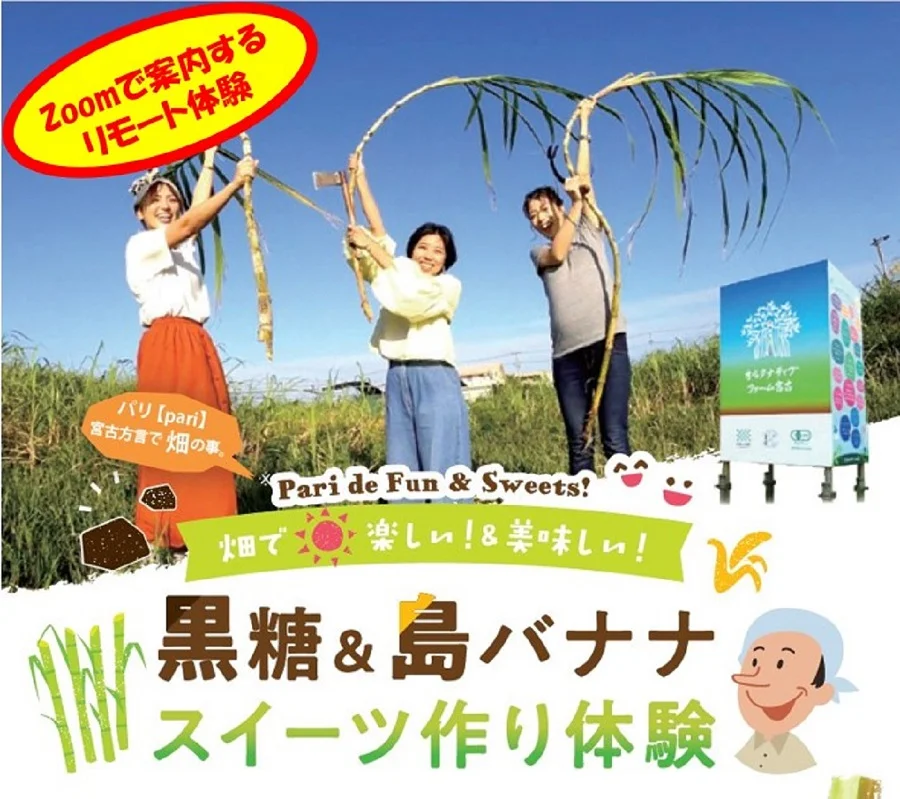 沖縄 宮古島 オンライン体験 サトウキビの栽培～黒糖作りまで＜オルタナティブファーム宮古＞