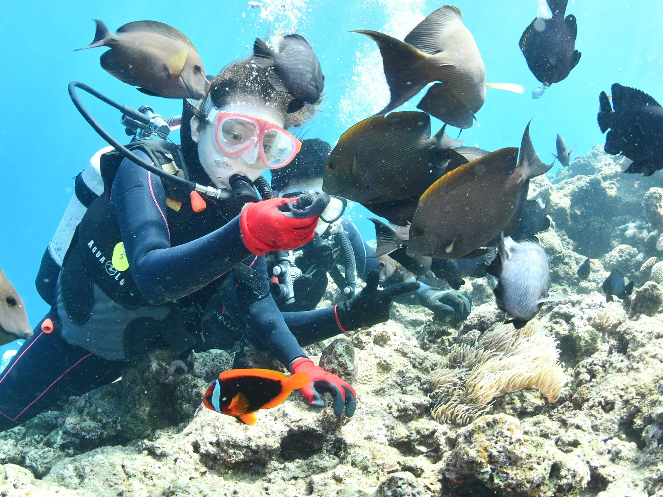 Blue Cave Boat Diving Okinawa — Beginner-Friendly Dive