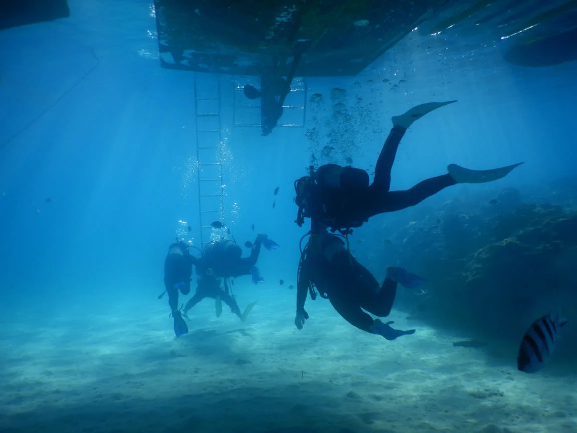 沖縄本島 瀬底島エリアのサンゴ礁を満喫！ダイビングの体験予約