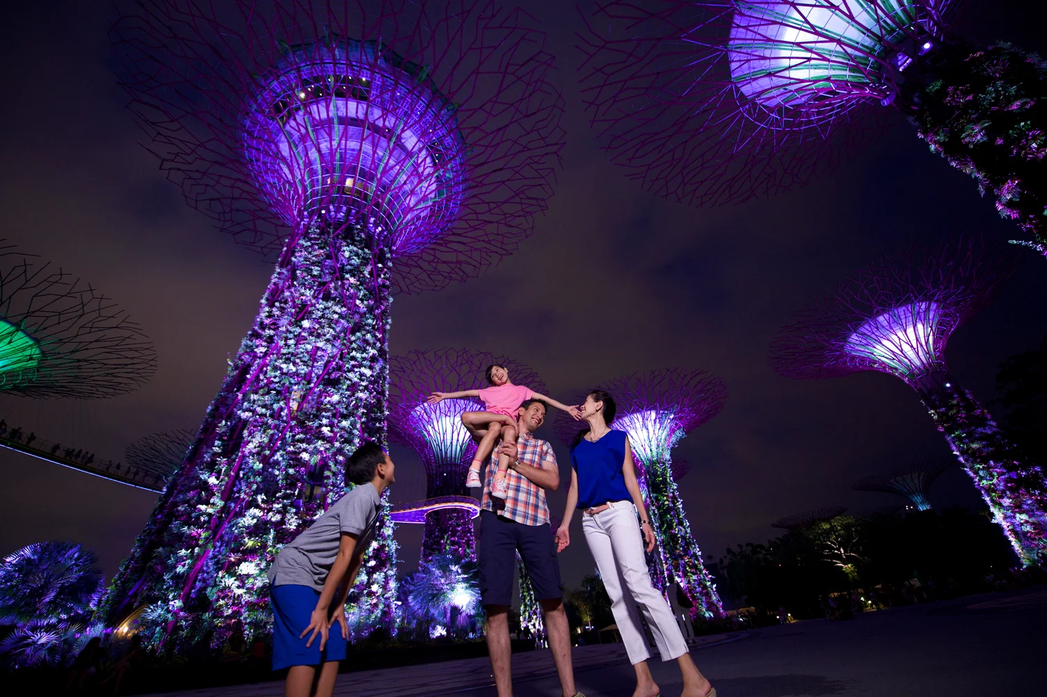 シンガポール ライトアップ！夜景ツアー＜ナイトショー：ガーデンラプソディ／スペクトラ＞