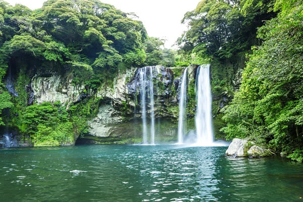 済州島（チェジュ島）三大滝巡り＆オルレ ウォーキングツアー ＜往復送迎／日本語ガイド＞