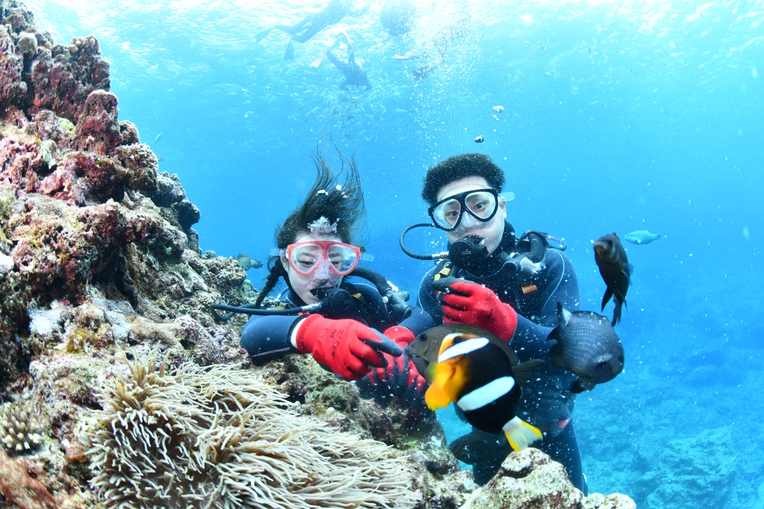 Blue Cave Boat Diving Okinawa — Beginner-Friendly Dive