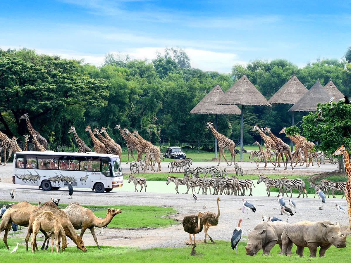 Safari World Bangkok and Marine Park E-Tickets