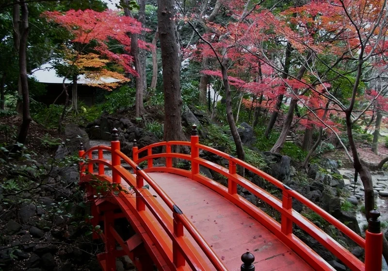 Photo Tour: Enjoy Photographic Scenic Beauty in Tokyo!