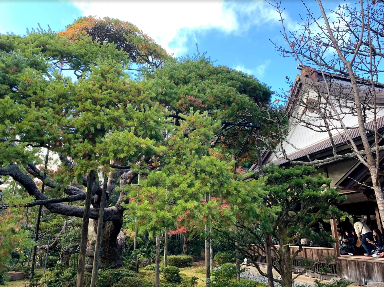 Ohara Kyoto—Sanzenin Temple, Raigoin Temple & Hosenin Temple