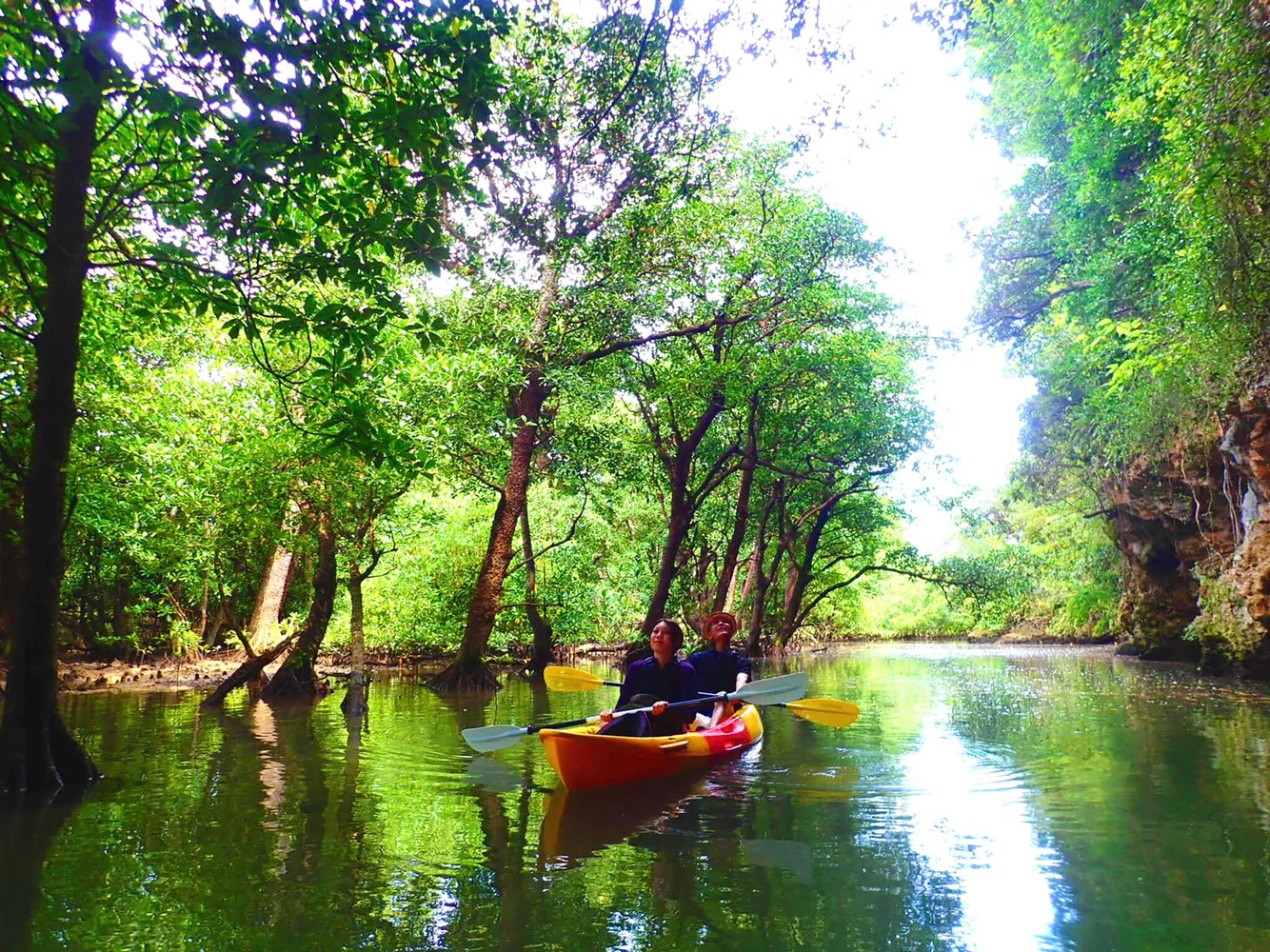 Miyara River Mangrove SUP or Canoeing at Ishigaki, Okinawa