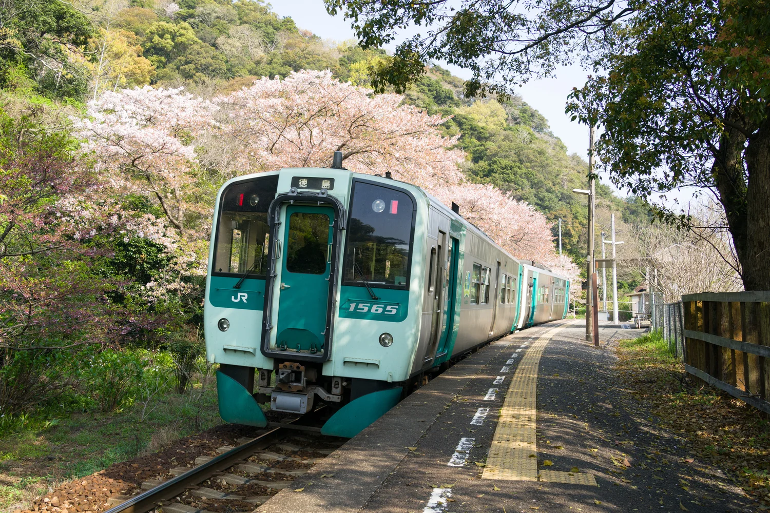 [For Tourists & Expats] JR Shikoku 3-Day Pass E-Tickets