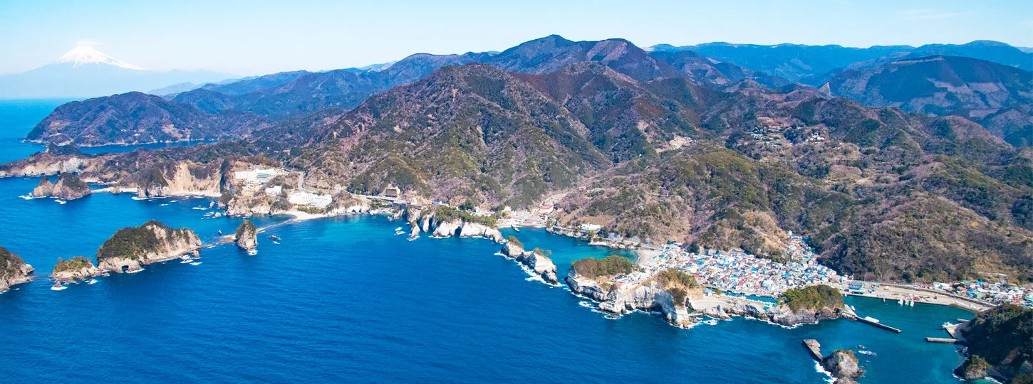 2-Day Tour of Izu Peninsula Geopark's West Coast in Shizuoka
