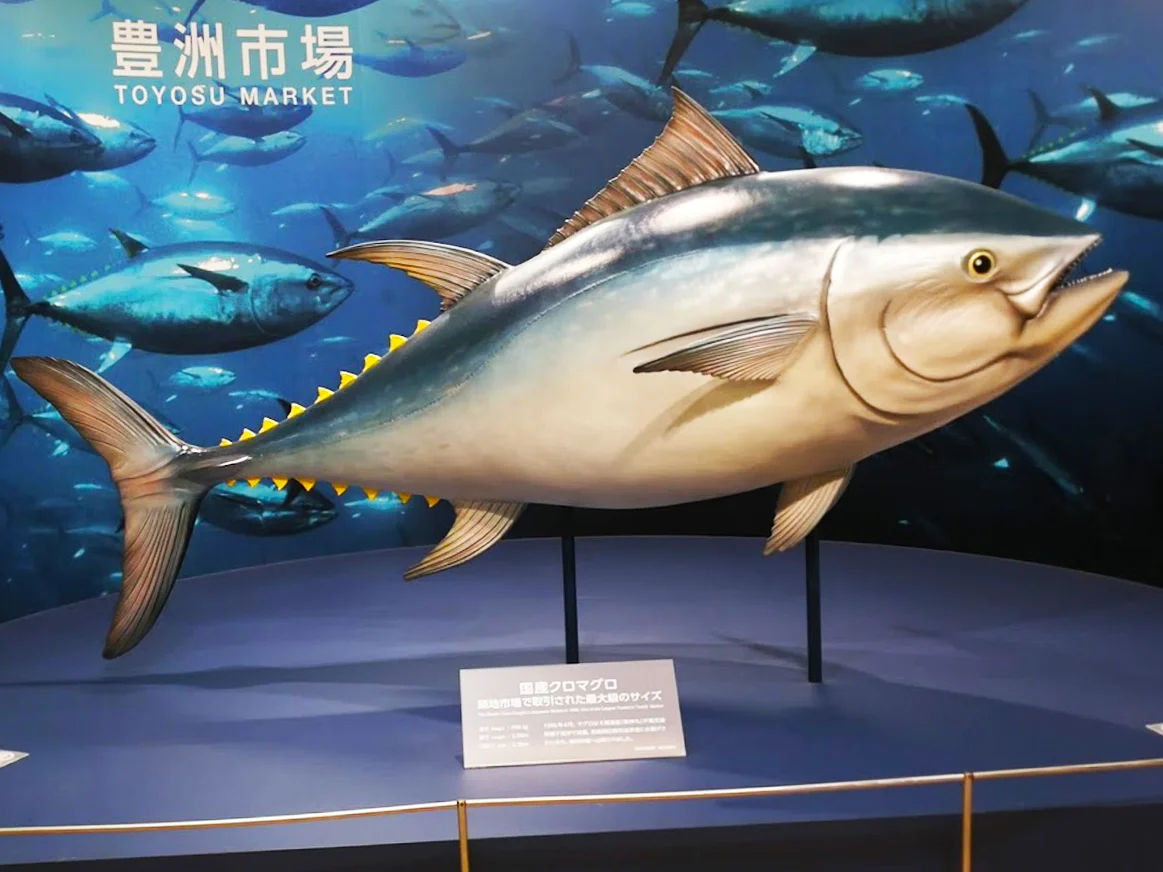 Tuna Auction and Tokyo Toyosu Fish Market Tour