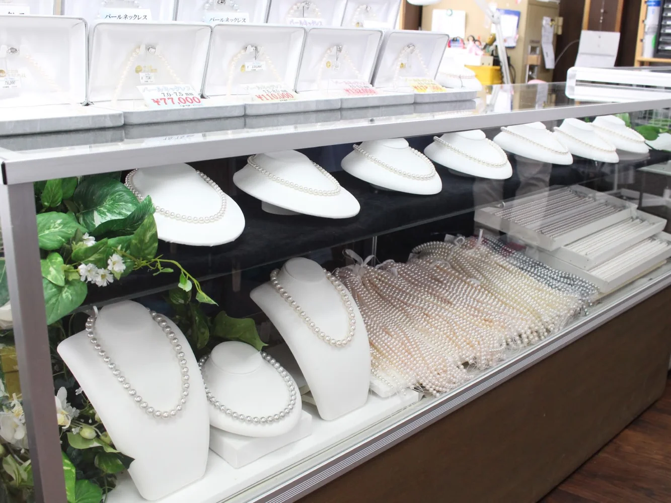 Cultured Pearl Farming from Oysters in Uwajima