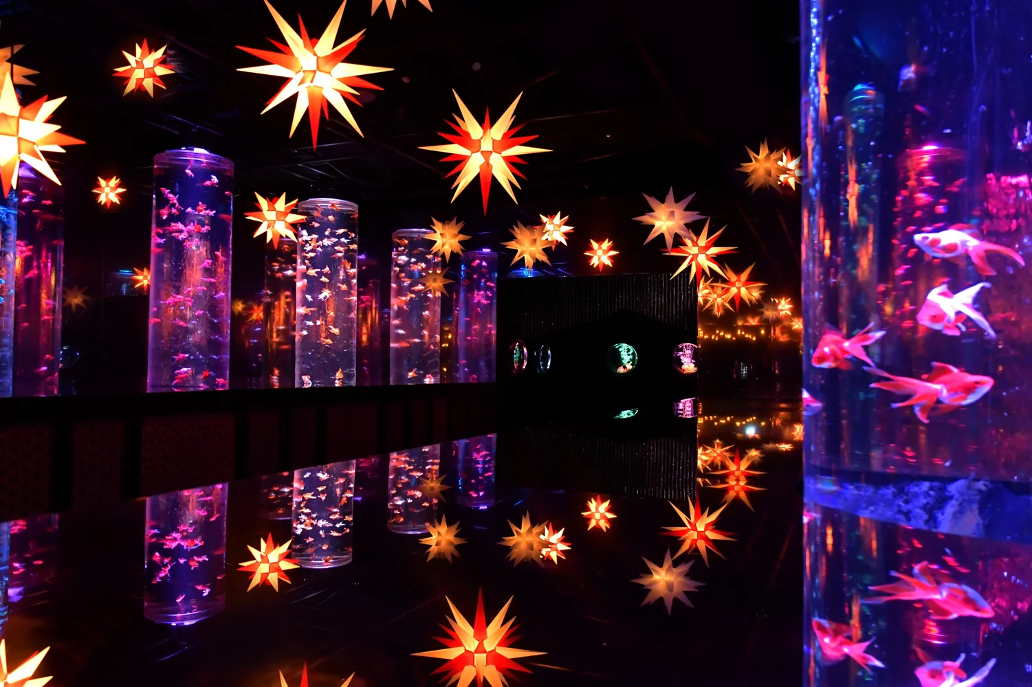Winter exhibition "Starry Ginza Christmas" will be held from November 23 (Thu) to December 27 (Wed)