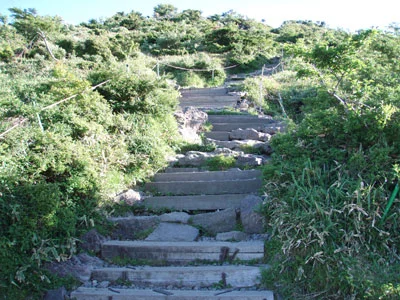 韓国 済州島 漢羅山（ハンラサン）登山体験ツアー 予約