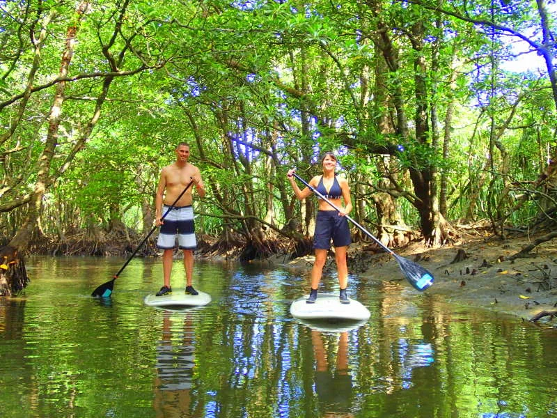 Explore Iriomote Island on a Stand Up Paddleboard!