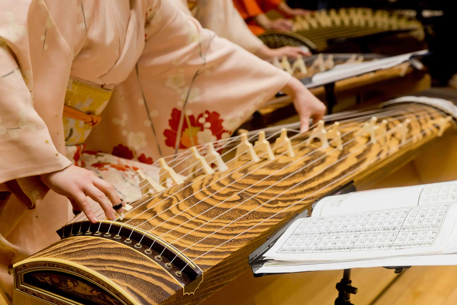 Traditional Japanese Music ZAKURO SHOW in Tokyo