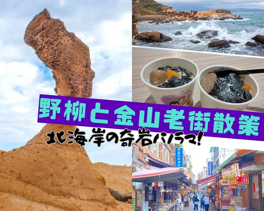 北海岸の奇岩パノラマ！野柳と金山老街散策ツアー ＜日本語ガイド付き＞