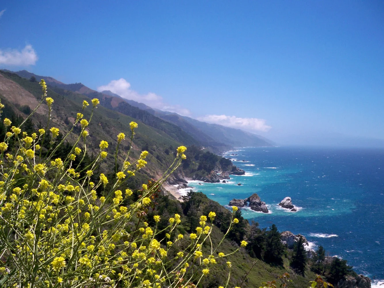 California Coast Private Car Tour: Highway One, Monterey and Big Sur
