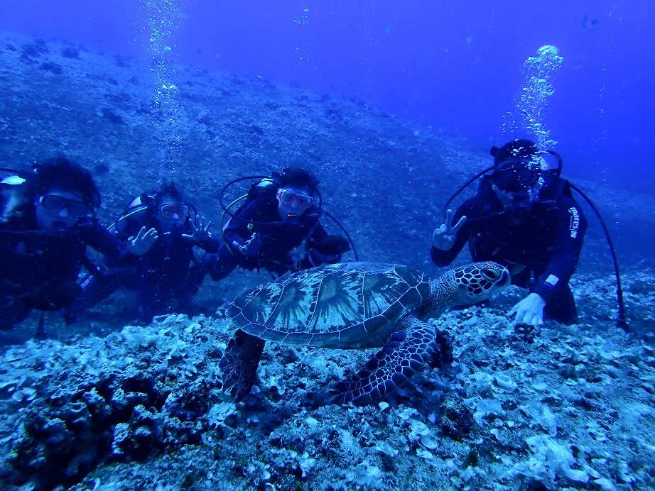 Beach Diving, Swimming w/ Sea Turtles, & Boat Diving in Guam