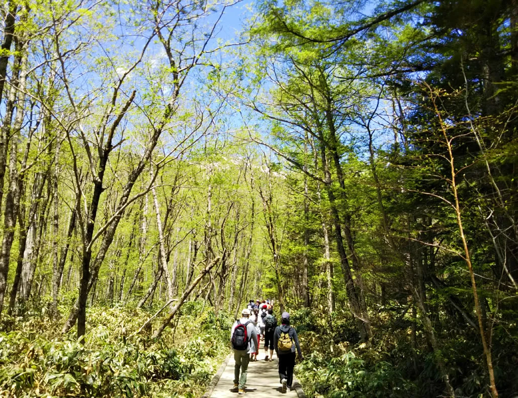長野県上高地ウォーキングツアー