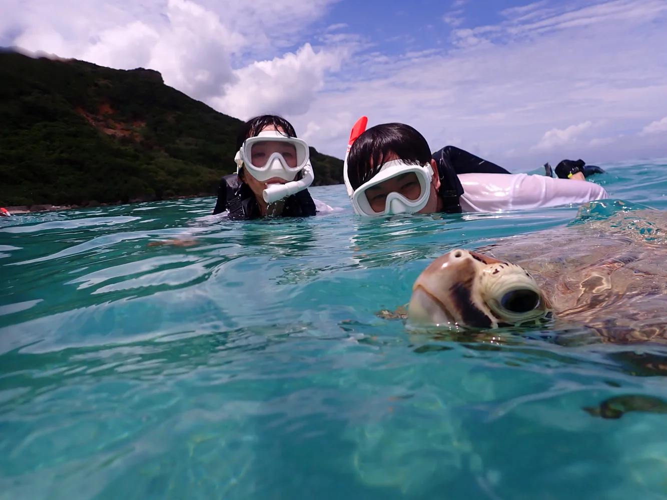 沖縄 宮古島 ウミガメとニモちゃんの熱帯魚の2ビーチシュノーケリング 半日ツアー