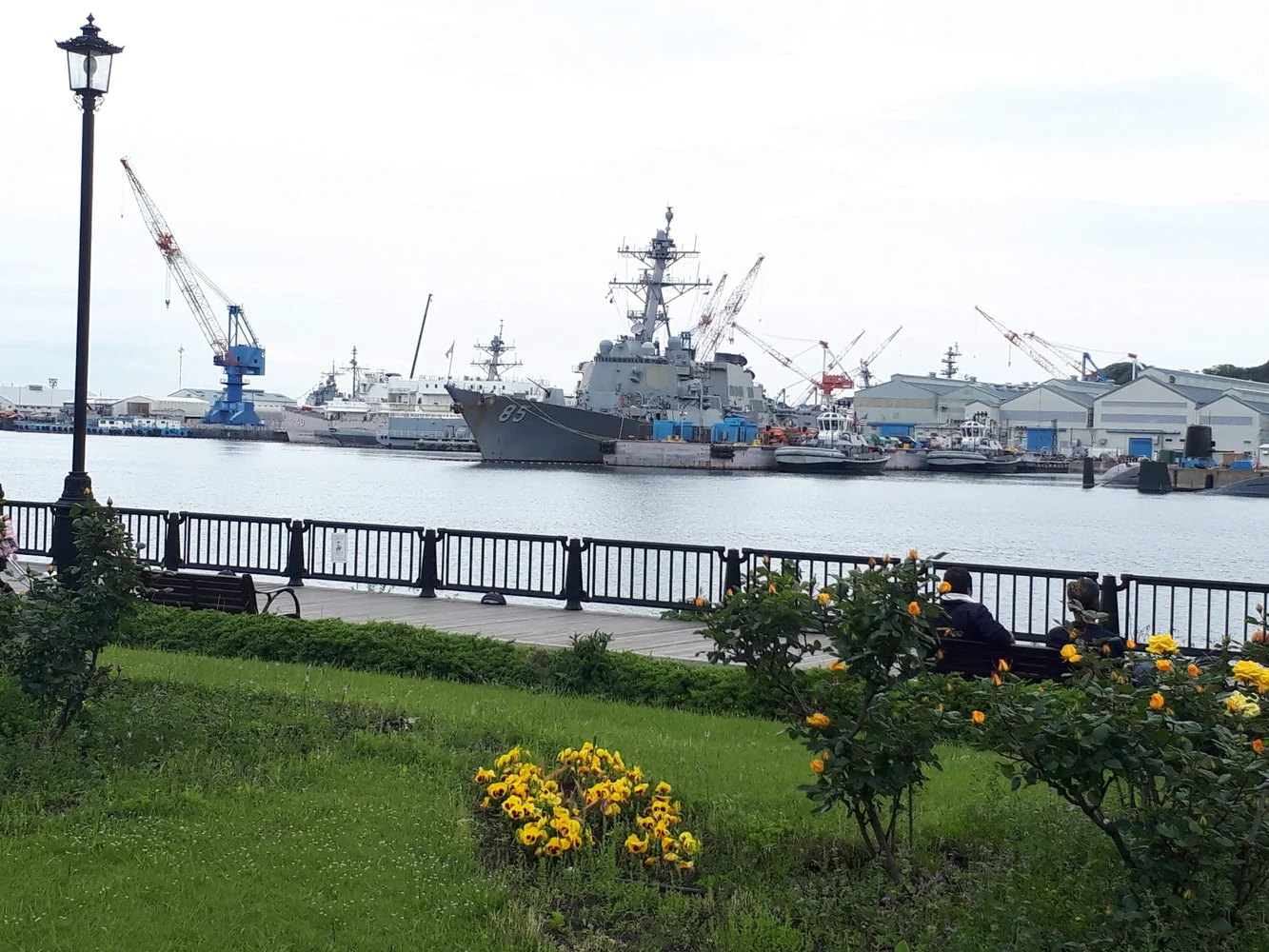 Discover Ancient Kamakura and the Naval History of Yokosuka on a 1-Day Private Tour