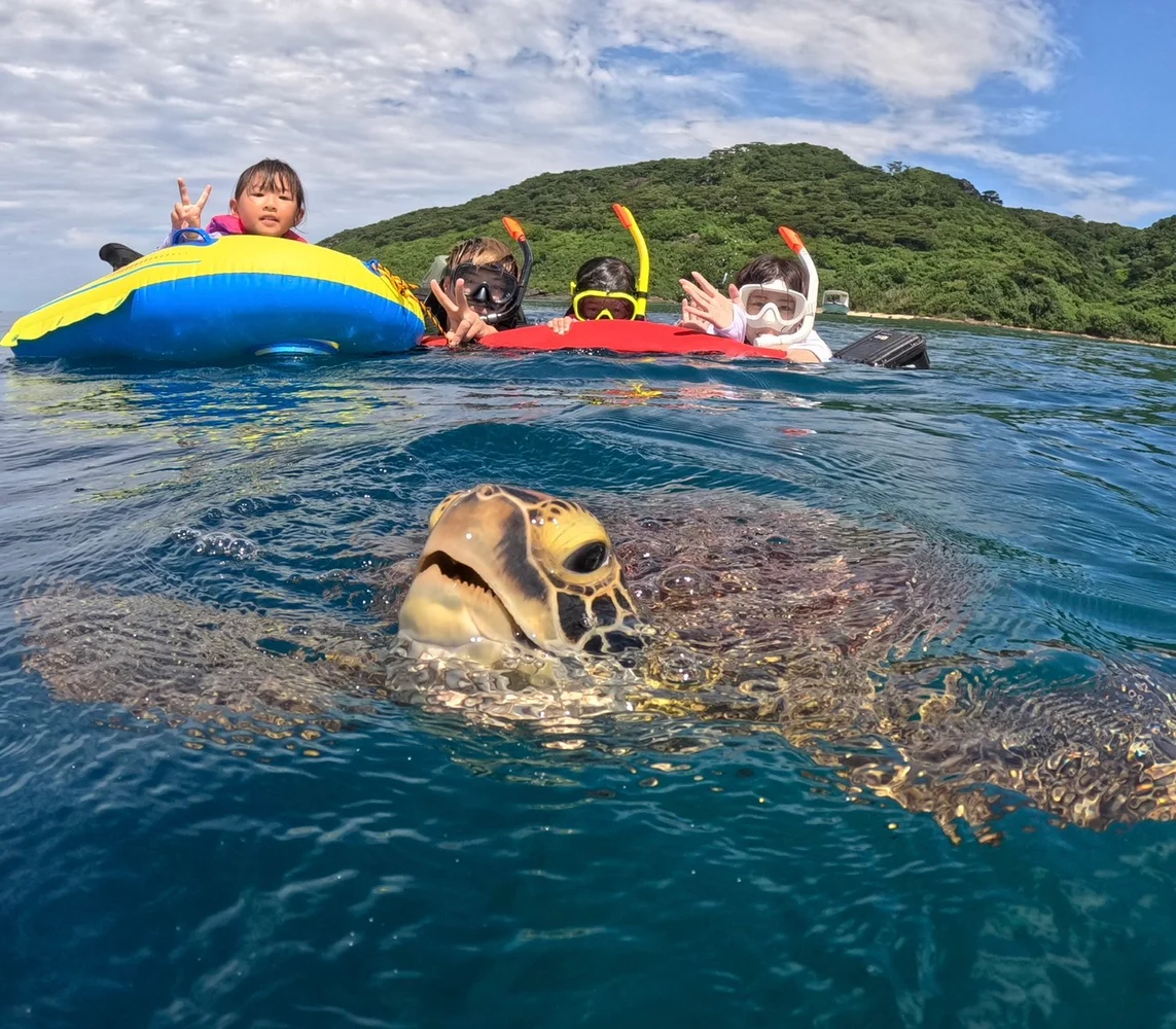 沖縄 Tomorl 石垣島 青の洞窟＆ウミガメシュノーケリング 予約 ＜写真データ＋送迎付き＞