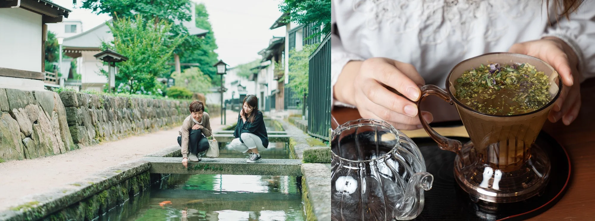 Learn About Medicinal Herbs on a Tour of Hida-Furukawa, Gifu