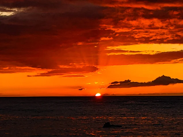 【ハワイ島】マウナケア山麓 サンセットと星空観察ツアー 予約 ＜貸切チャーターあり＞