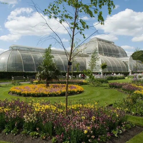 イギリス ロンドン キューガーデン キュー王立植物園 入園 Eチケット 楽天トラベル 観光体験