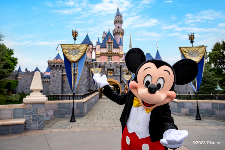 Official Partner / Rakuten] California Disneyland Resort 1-Day E