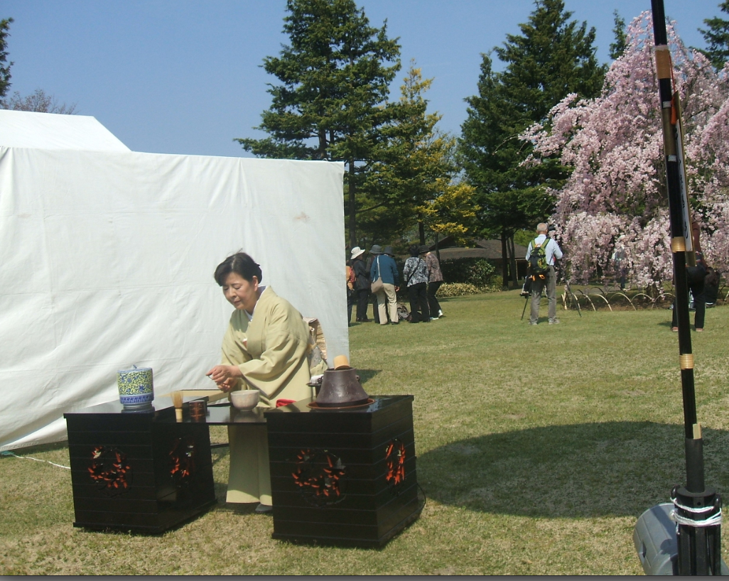 Tea Ceremony at a Beautiful Japanese Garden
