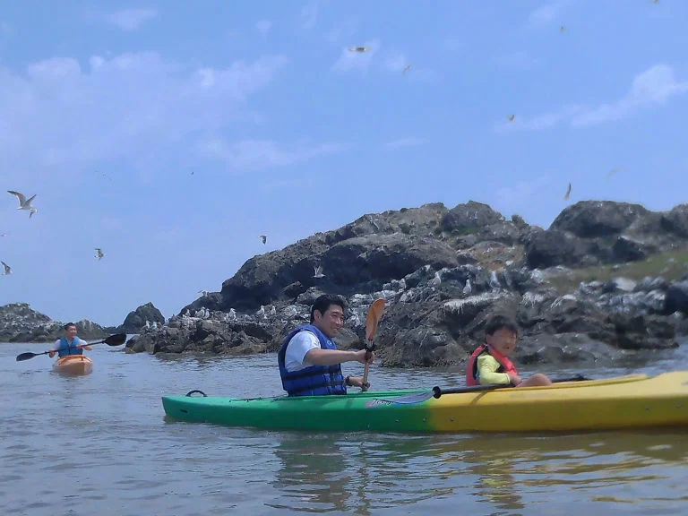Sea Kayak Tour to Kabushima — Island of Black-Tailed Gulls