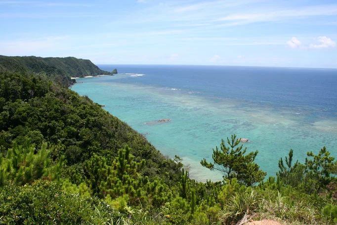 沖縄 名護市 ジュゴンの見える丘ガイドツアー＜ファミリーにおすすめ＞