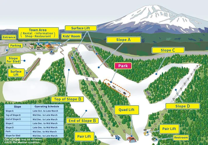 Ski Resort Day Trip Near Tokyo: Fujiyama Snow Resort Yeti Japan